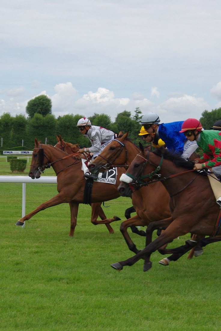 Course hippique sur l'herbe