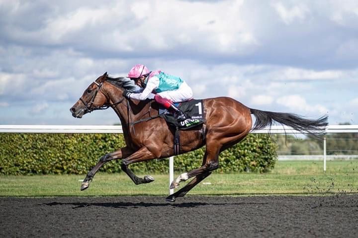 Cheval de course menant la course